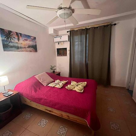 Hotel Tierra Verde Bed And Breakfast Bocas del Toro Exteriör bild