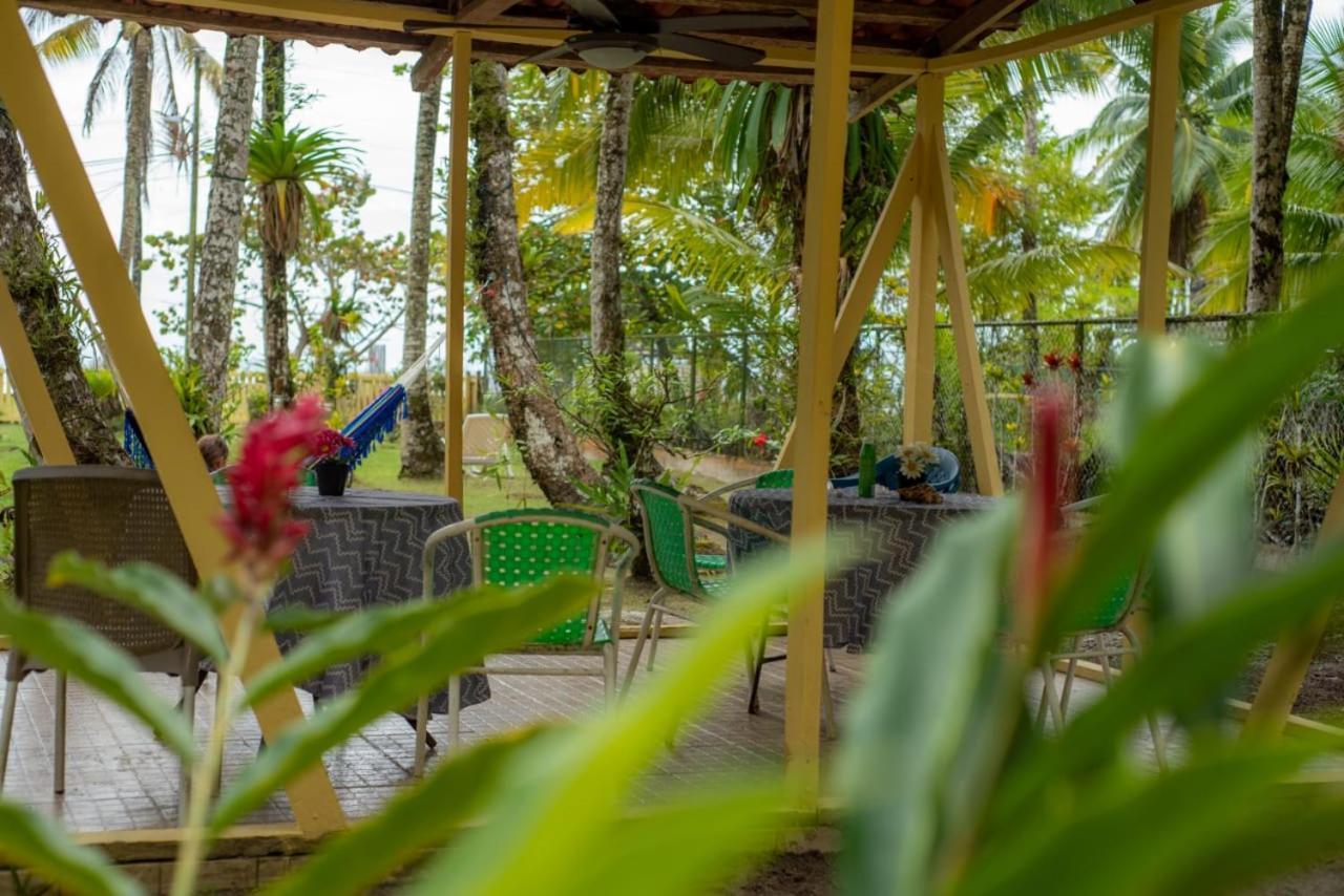 Hotel Tierra Verde Bed And Breakfast Bocas del Toro Exteriör bild