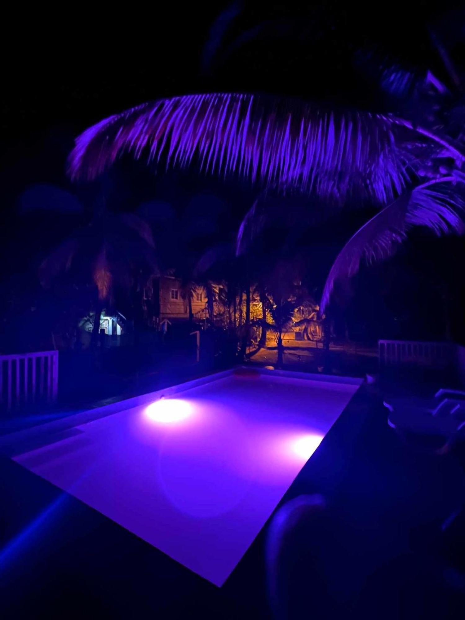 Hotel Tierra Verde Bed And Breakfast Bocas del Toro Exteriör bild