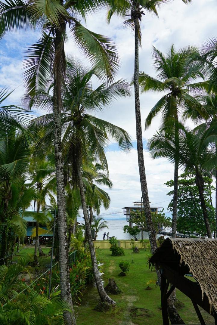 Hotel Tierra Verde Bed And Breakfast Bocas del Toro Exteriör bild